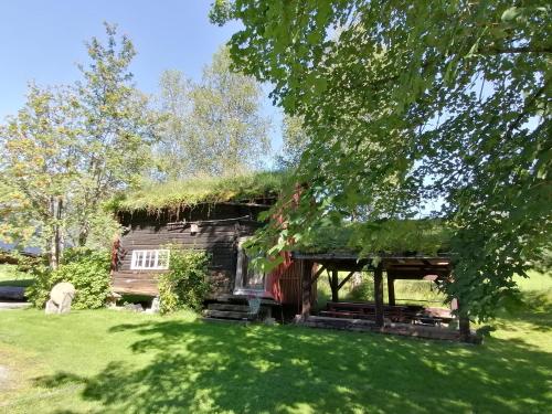 Innfjorden的住宿－Lensmansgarden，绿色田野上草屋顶的房子