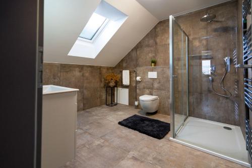 a bathroom with a shower and a toilet and a skylight at Apartmánové domy Lipno 1 in Frymburk