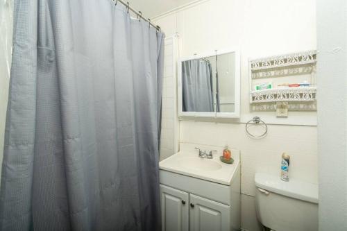 a bathroom with a shower curtain and a sink at The Traveler Suite C1 in Hartford