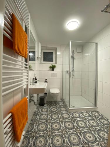 a bathroom with a shower and a toilet and a sink at Ferienwohnung Bergstraße in Wilhelmsfeld