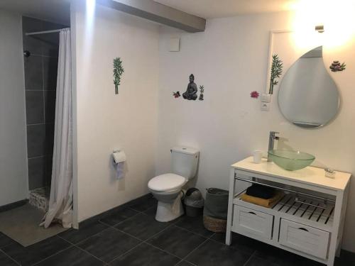La salle de bains est pourvue de toilettes, d'un lavabo et d'un miroir. dans l'établissement Maison avec piscine au calme, à Puygiron