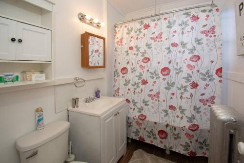 a bathroom with a toilet and a shower curtain at The Bushnell Suite C2 in Hartford