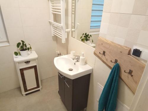 a bathroom with a sink and a mirror at Dom na Suwalszczyźnie in Krasnopol