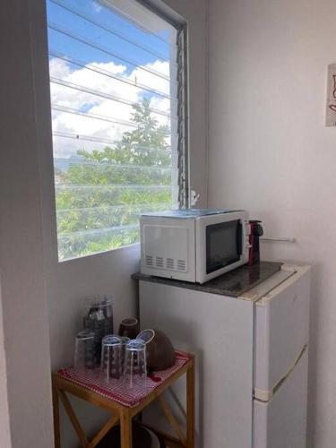 a microwave sitting on a counter next to a window at Appartement Osiris 2 in Fort-de-France