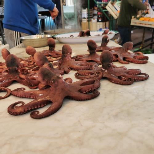a pile ofustedusted octopus sitting on a table at Gioiamia - Luxury Rooms in Cattedrale in Palermo