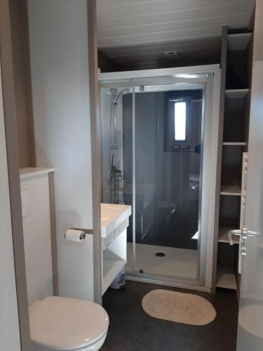 une salle de bain avec une douche en verre et des toilettes dans l'établissement Plénisud, à Pomérols