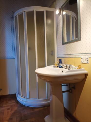 a bathroom with a shower and a white sink at Villa Camelia Tuscany in Pescia