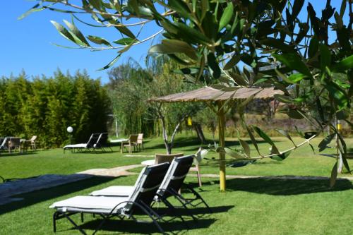 a group of chairs and an umbrella in the grass at Simatos αpARTments & Studios in Lassi