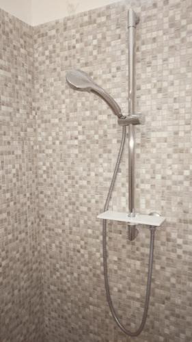 a shower with a shower head in a bathroom at OASI FELICE in Levanto