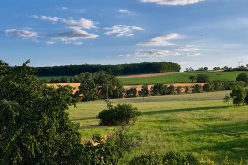 a field of green grass with trees in the distance at 4 Kreuzstraße Laaschhof in Nusbaum