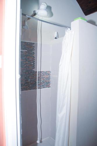 a shower with a white shower curtain in a bathroom at Buttercup Cottage Apartments in Arnos Vale