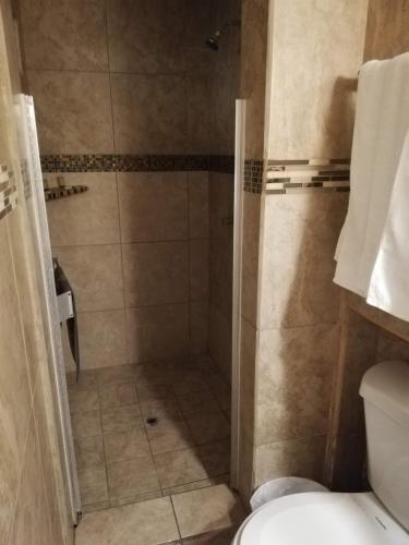 Suites Leon Rojo في تيخوانا: حمام مع دش مع مرحاض
