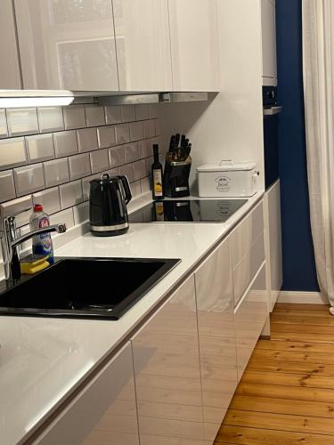 Kuchyň nebo kuchyňský kout v ubytování Luxus Altbaucharme in zentraler Lage