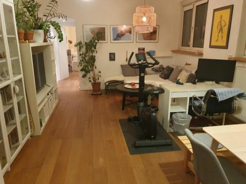 Schlossbergblick Apartment