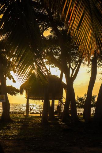 a sunset behind palm trees on the beach at Dahlandia in Isla Mucura