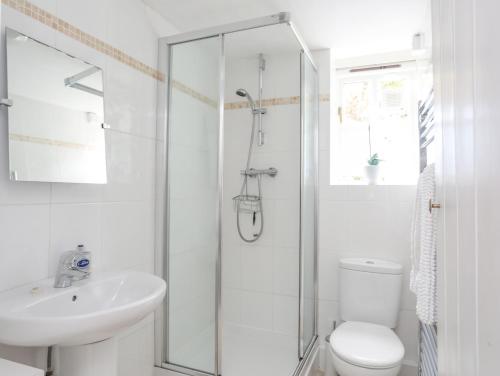 a bathroom with a shower and a toilet and a sink at Blue Cottage in Beaumaris