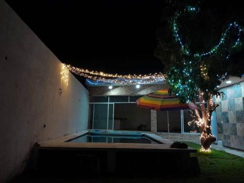 Terraza las ranas – Photos 2
