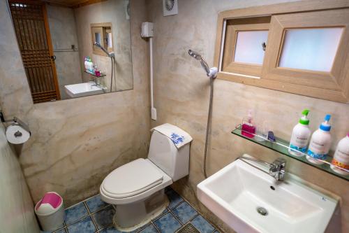 a bathroom with a toilet and a sink and a mirror at Sarangroo in Jeonju