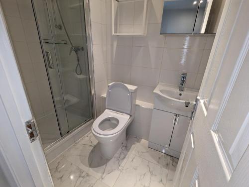 a bathroom with a toilet and a shower and a sink at Shoreditch & Liverpool Street Room B in London