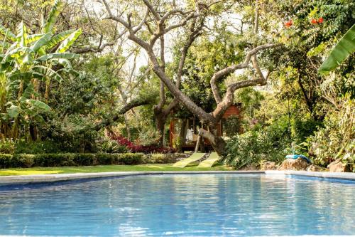 a swimming pool in front of a house with a tree at Canto de Aves in Malinalco