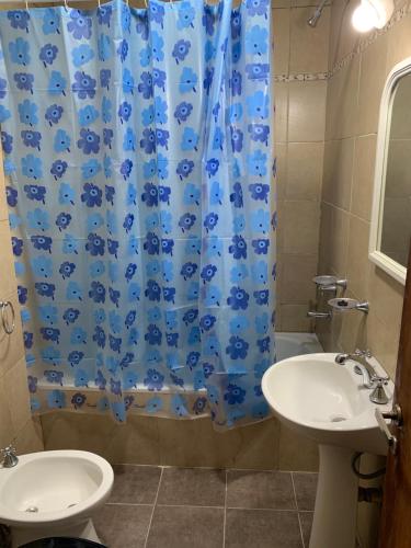 baño con cortina de ducha azul y lavamanos en ALVARADO en Salta