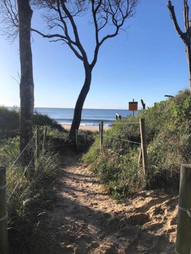 a dirt path leading to a beach with a tree at Family Tides - Old Bar Holiday Rentals in Old Bar