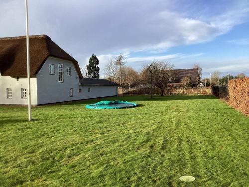 a large yard with a house and a blue frisbee at 12 person holiday home in Sønder Omme-By Traum in Sønder Omme