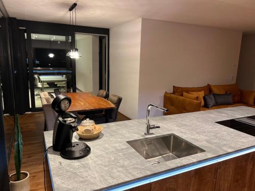 a kitchen counter with a sink and a living room at Haus Am Anger Dornbirn in Dornbirn