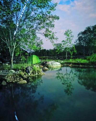a pond with a green umbrella next to a tree at Kampot Camping - Eco Retreat in Kampot