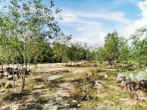 a field with some trees and a creek at Kampot Camping - Eco Retreat in Kampot