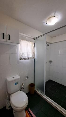 y baño con aseo y ducha. en Mead Road Homestay Tours &Transfers Deluxe Flat 1 Bedroom en Suva