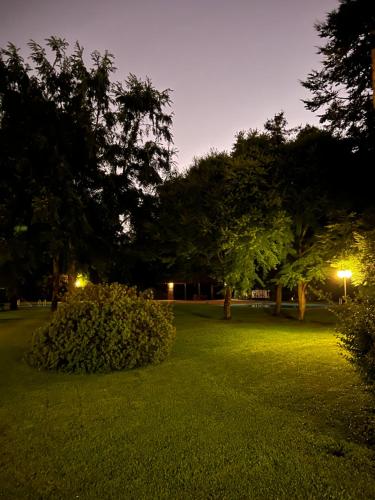 a park at night with trees and green grass at Departamento Pucon in Pucón