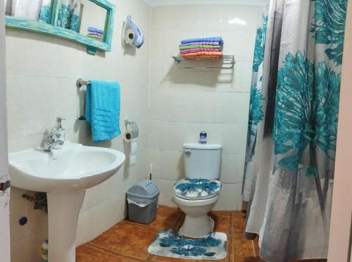 y baño con lavabo, aseo y ducha. en MatSofy_Apartamento en Santiago