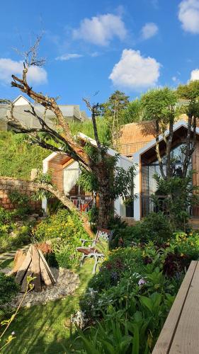 a backyard with a garden with a tree at Nhà Sói Homestay Da Lat in Da Lat