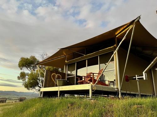 a house with a large roof on top of a field at Aquila Eco Retreat in Richmond