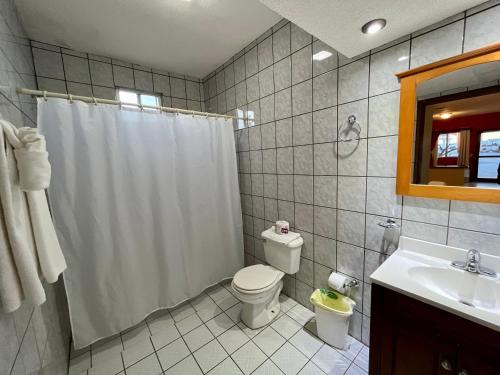 y baño con cortina de ducha, aseo y lavamanos. en Hotel Los Caracoles, en Guerrero Negro