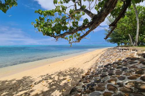 a sandy beach with trees and the ocean at Cottage Miti Reva in Haapiti