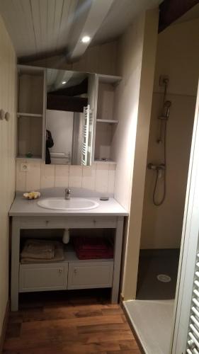 a bathroom with a sink and a shower at Chambres et gîte dans un lieu calme et champêtre in Gourgé