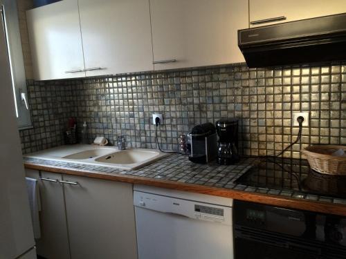 une cuisine avec un évier et un plan de travail dans l'établissement Appartement 4 personnes proche centre ville de Royan avec terrasse et parking privé - FR-1-494-88, à Royan