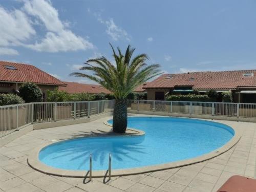 un palmier au milieu d'une piscine dans l'établissement Villa Patio Accès Direct Océan, Terrasse, Parking, Piscine, 2 Chambres + Mezzanine - FR-1-413-163, à Capbreton
