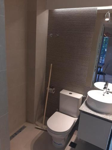 a bathroom with a toilet and a sink at DEPARTAMENTOS Alquiler Temporario UNIVERSAL in Godoy Cruz