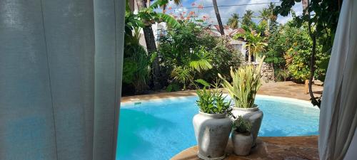 two vases with plants in them next to a swimming pool at MOYO apartment in Pwani Mchangani