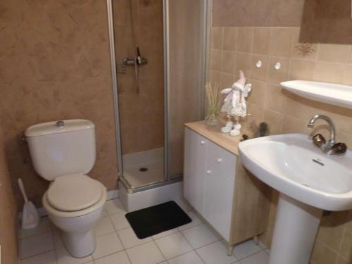 une salle de bain avec une douche, des toilettes et un lavabo dans l'établissement Studio cosy 4 personnes avec balcon et parking au Grand Bornand - FR-1-458-154, au Grand-Bornand