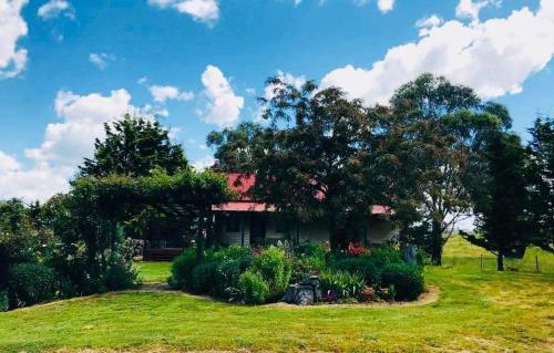 a house on a grassy hill with a garden at Red Hill Cottage Walcha in Walcha