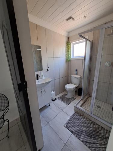 La salle de bains est pourvue de toilettes, d'un lavabo et d'une douche. dans l'établissement GRACE'S PLACE, à Beaufort West