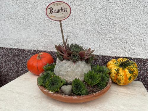 Imagen de la galería de Ferienwohnung Sonnschein, en Bad Mitterndorf