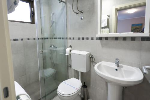 a bathroom with a toilet and a sink and a shower at Smeštaj Tank, Pančevo in Salaši
