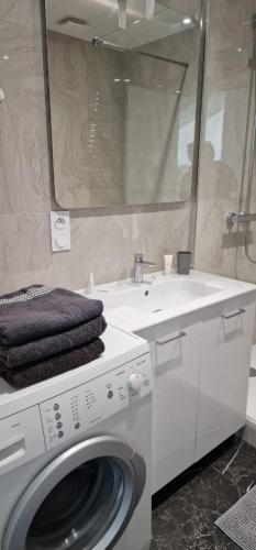 une salle de bain avec une machine à laver et un lavabo dans l'établissement Les Vallées, à Thonon-les-Bains