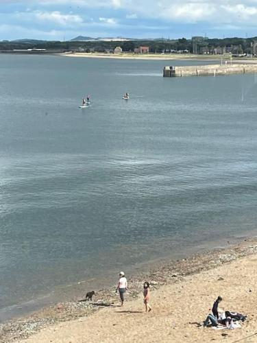 a group of people and a dog on the beach at Beachfront Treasure in Musselburgh