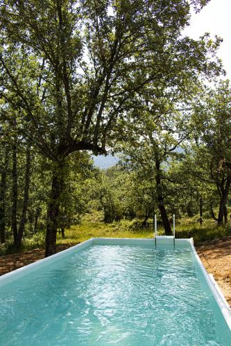 une piscine bleue avec des arbres en arrière-plan dans l'établissement Villa Cinsault, un bijou pour votre séjour en Provence Verte, à La Celle